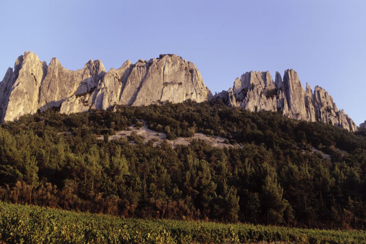 Die Dentelles de Montmirail